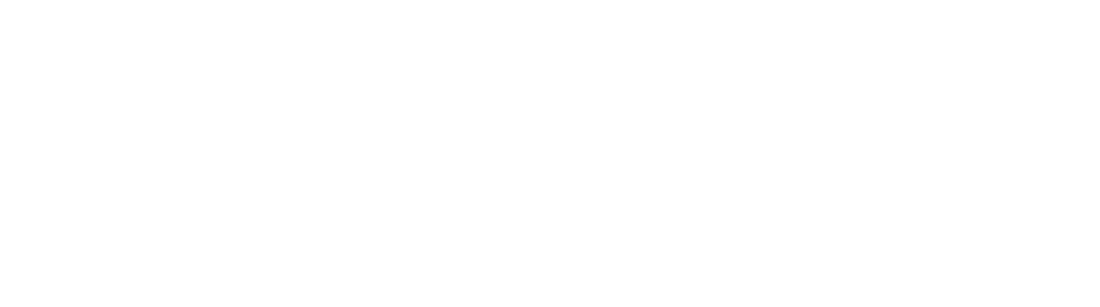 Martin_Walter_Ultraschall_Logo_Neg_weiss